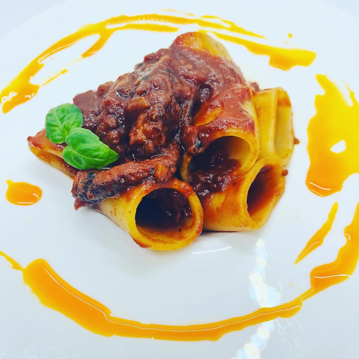 Octopus Ragú